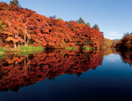 紅葉のきれいな湖
